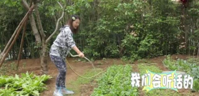 张翰：周海媚独居北京，坐拥超大菜园，直言不需要找个男人来碍手碍脚