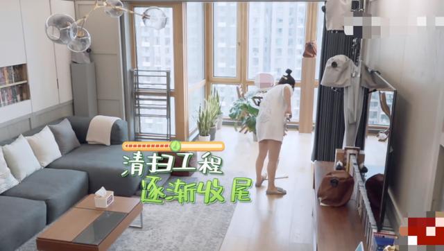 杨子姗|上综艺用白布罩住家具，不能忍受节目组穿鞋进她家，她活该被骂？