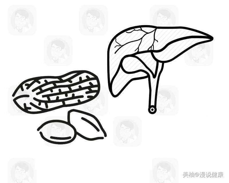 花生▲一把花生一把药！提醒：每天吃几粒花生，4个好处“主动”找上门