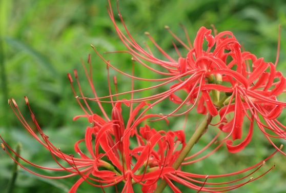 「运势」未来7天，4属相运势逐渐好转，一举富贵，门庭兴旺，富甲一方