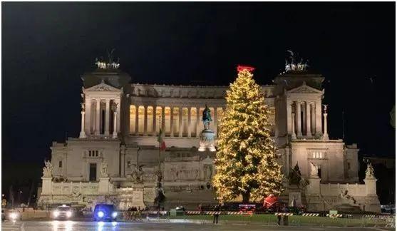 羅馬網紅聖誕樹“小禿禿”來瞭！羅馬政府斥資14萬歐讓羅馬人樂下-圖2