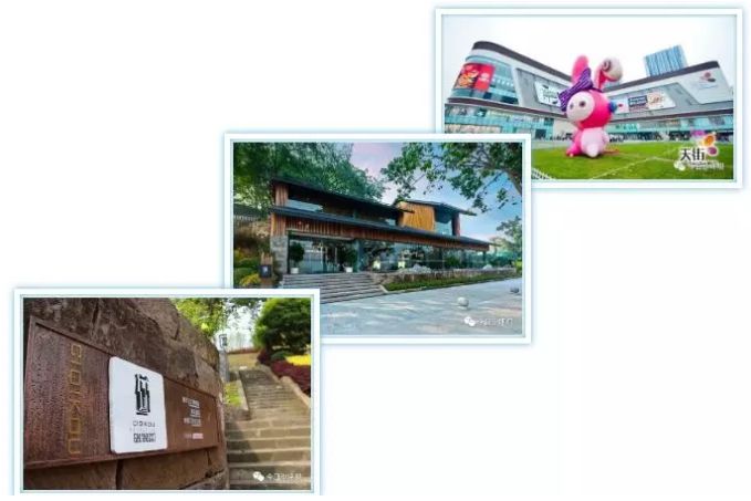 建设国际消费中心城市 | 沙坪坝打造国际消费中心城市新兴区