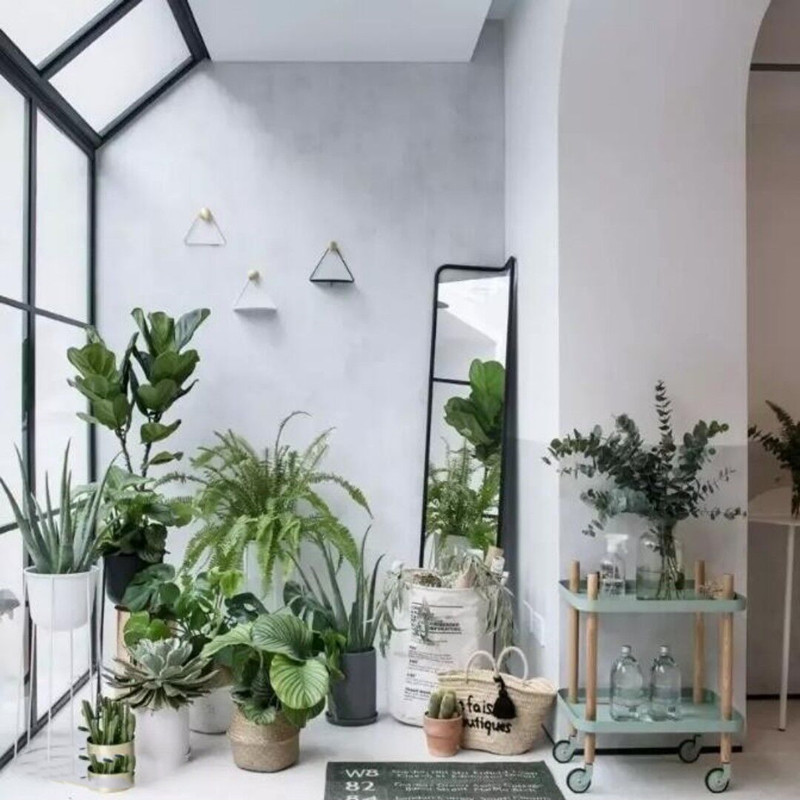 两夫妻买下了整栋小区楼，上下打通变一家，原来这才是有钱人！