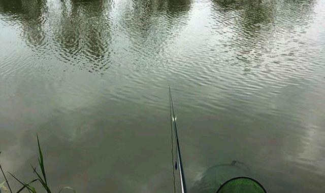 退休|钓鱼,竿尖为什么压入水中?入水多少合适?