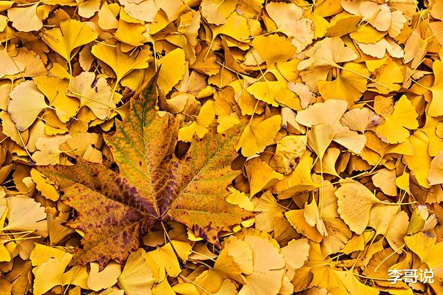 管住自己的嘴，千万不要说这样的话！