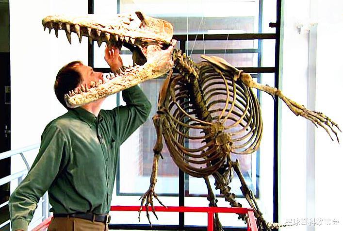 卫星|探秘海洋霸主的独特进化史，鲸鱼家族的祖宗原来像一头狼