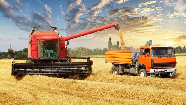 猪肉|俄罗斯暂停大豆出口后,加拿大停猪肉出口,我国农产品要现危机?