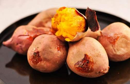 「鲤鱼」钓鱼：为啥红薯在夏秋季节更好用，了解用饵思路很关键！