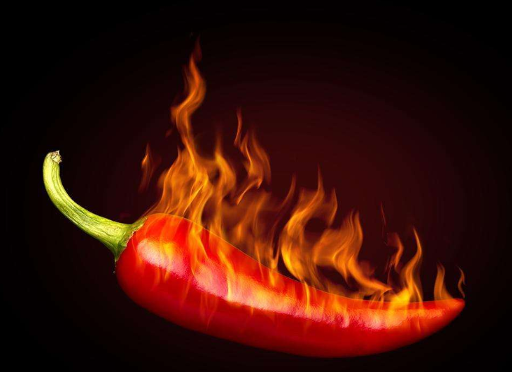 『炒饭』日本“死神炒饭”,厨师要戴防毒面具,食客要签协议