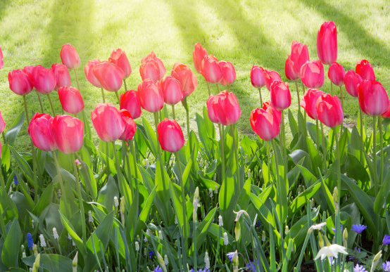 运势|10月9日开始，4属相运势如日中天，事业蒸蒸日上，双喜临门