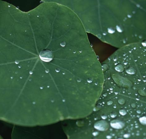 |10月，4生肖吉星高照，财源广进，事业顺风顺水，生活圆满