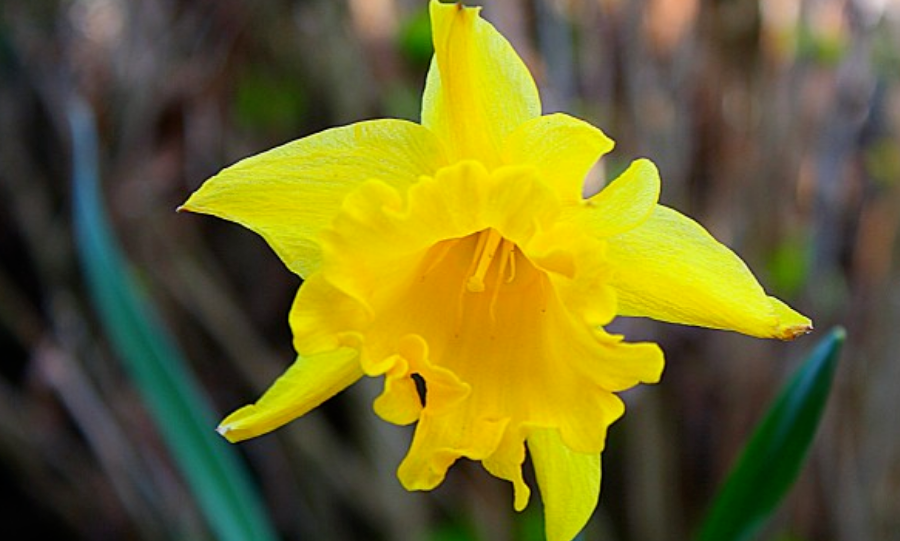 生肖|九月下旬开始，财帛入口袋，贵人鼎力支持，前途无忧的4生肖