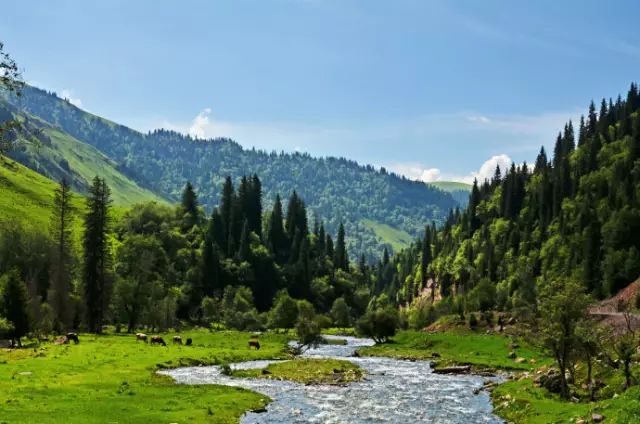 伊犁▲伊犁最低调的小县城，藏着最美的百里画廊，很多人还不知道！
