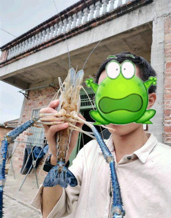 闽江|一米长的河虾？福建钓鱼人，闽江钓起罕见“巨虾”
