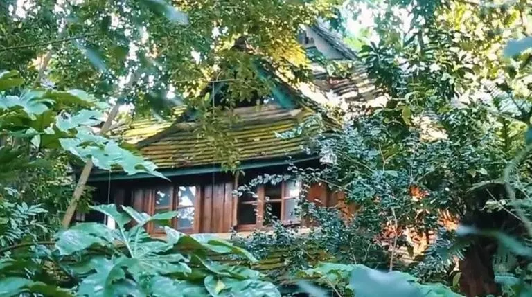 娇兰|不是星二代，她的背景却碾压所有人