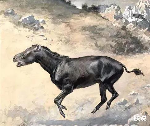 「毒液」新生代生物图鉴：哺乳动物顽强对抗恐龙后代，人类先祖出现