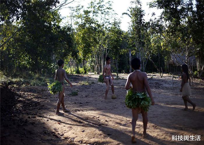 『亚马孙热带雨林』传说亚马逊丛林危机四伏，到底有多可怕？贸然闯入者下场很惨！