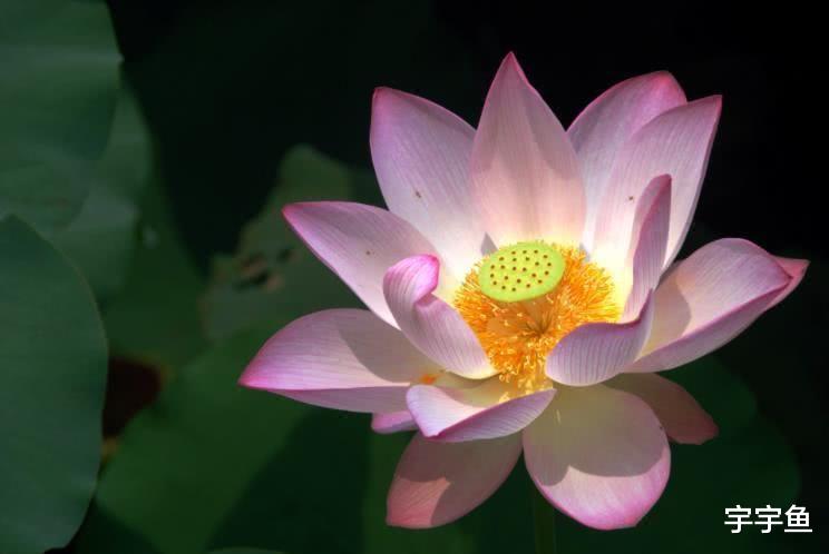 生肖|9月开始贵人辅佐,好事不断,赚钱如流水,如沐春风的四大生肖