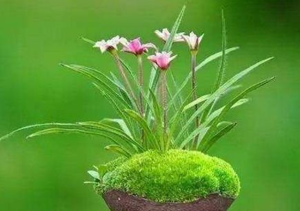 金牛座|11月份财源滚滚，喜获人生上上签，富得流油的3生肖