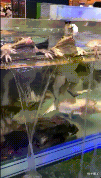 CPU|“为什么电脑不能安装两个或多个CPU？”哈哈哈评论炸锅了