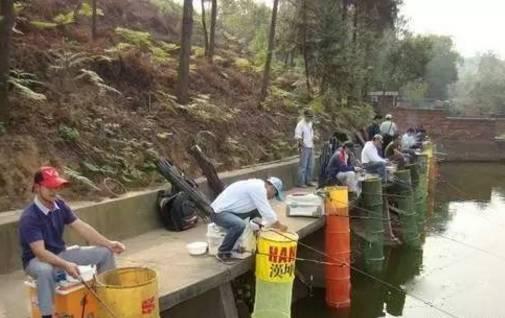 |黑坑正钓，久守无口，先别急着换钓位，先判断是不是偏塘了再说