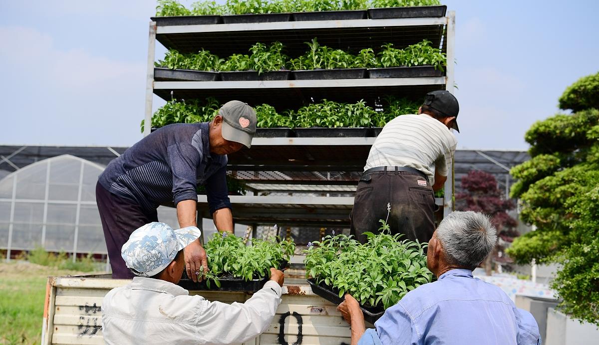 ：职场中学会这四种话，想要领导不喜欢都难