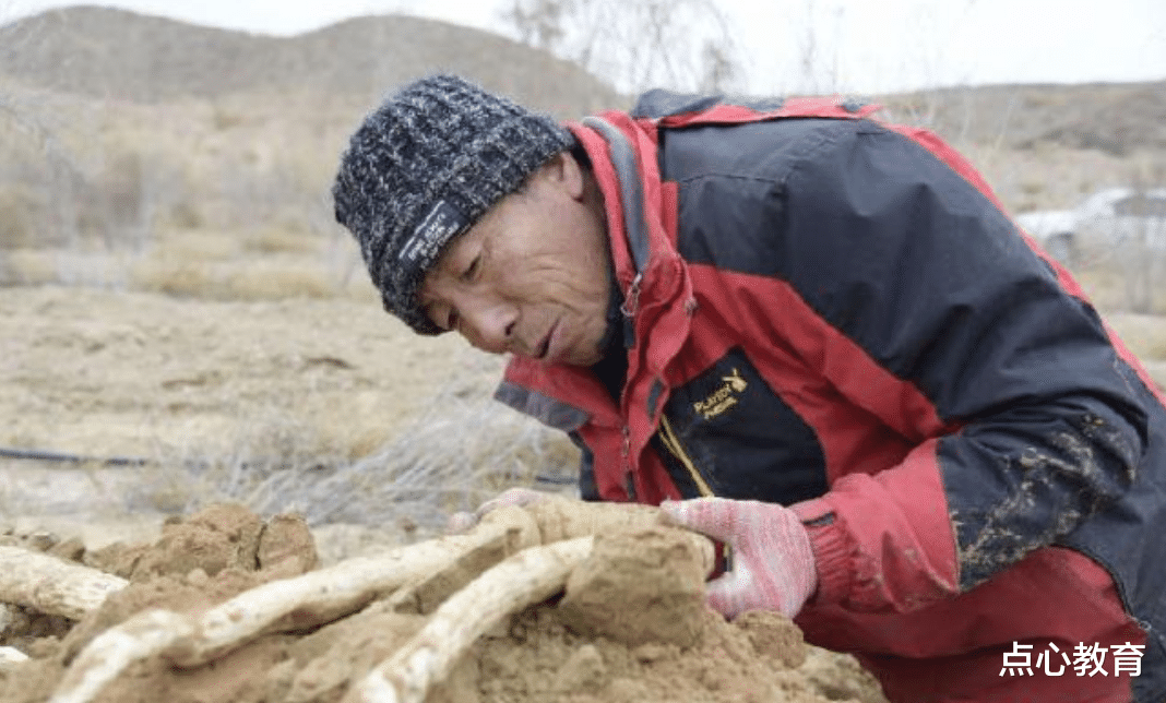 北京市|北大博士放弃百万年薪，回老家“种地”，6年后怎样了？