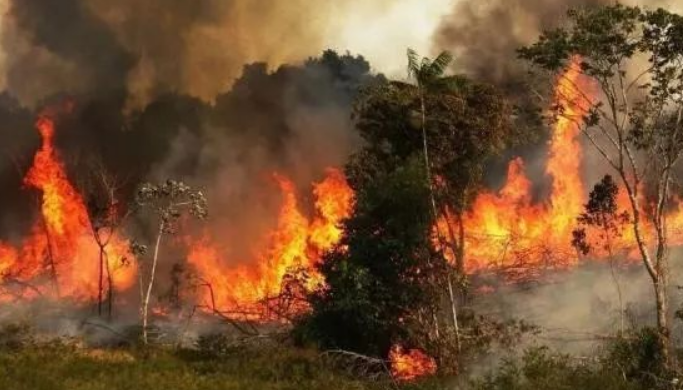 「科学家」2020年灾难不断，幕后黑手到底是谁？科学家或找到源头！