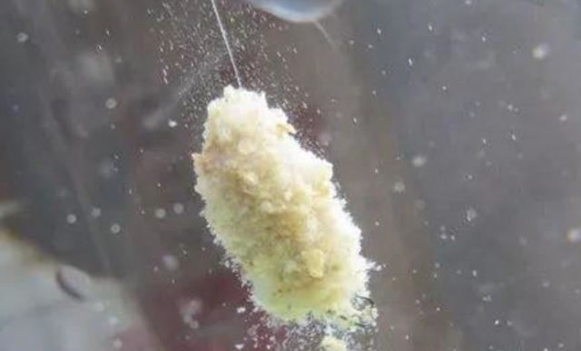 「五花肉」天热，鲢鳙鱼就不好钓了？那是你现在才察觉到这3招，不信就试试