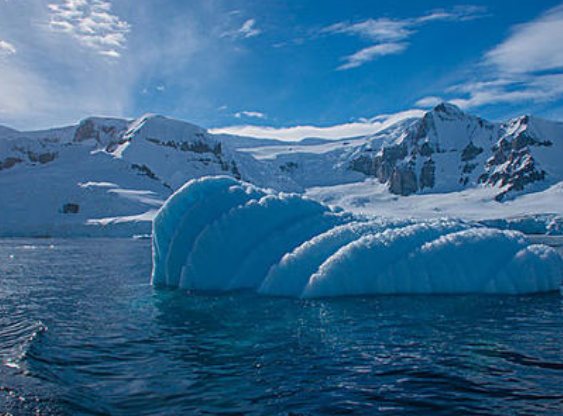 海洋生物@为什么海水不可以喝?不是因为咸,看看煮开后有什么东西就知道了!