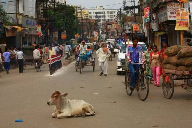 印度@印度和越南疫情意外消退，西方学者调查得出结论：两国有个共同点