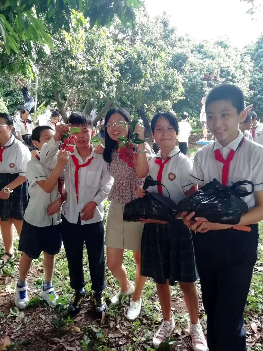 []因为学校荔枝树挂满了果，所以学生们都摘荔枝去了！