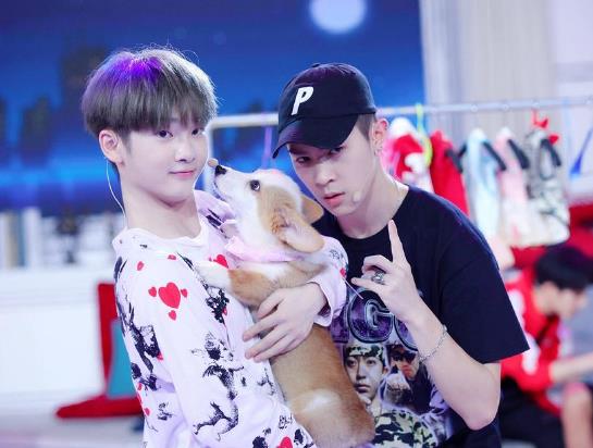 华晨宇@《明日之子4》改做乐队,华晨宇暂别舞台,由他们接手导师职位