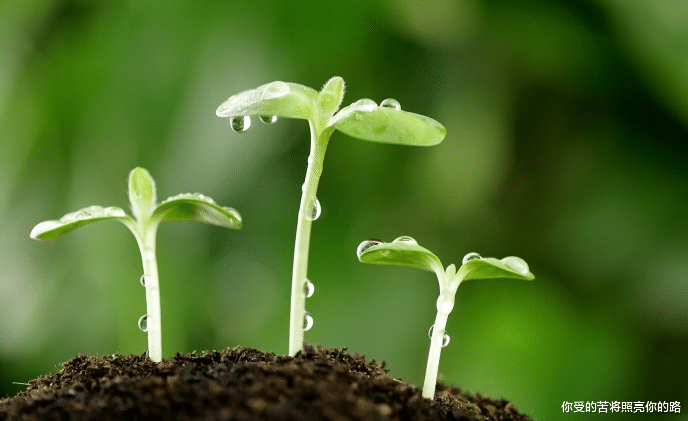|下半年，3属相财运扶摇而上，有贵人指点，成功熬出头
