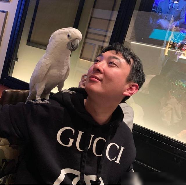 王思聪|王思聪牵手眼镜妹逛街，气质清纯像乖乖女，女方霸气牵手宣示主权