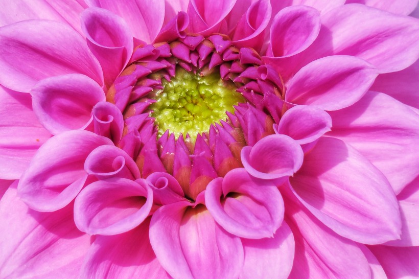 [生肖]十二生肖中，7月初了不得，月老亲自来赐姻缘，4大生肖喜事成双来