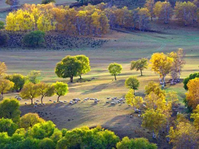 内蒙古▲中国突然公布一组内蒙古新照,最近千万别去那里!