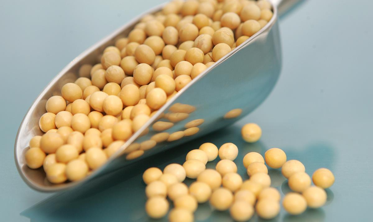 宫颈癌|糖尿病的“祸根”被揪出来了,除了甜食,三种升糖王请趁早忌口