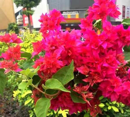 旧爱|8天后,鸿雁传情,痴心一片,3星座不再逃避,只想好好爱你