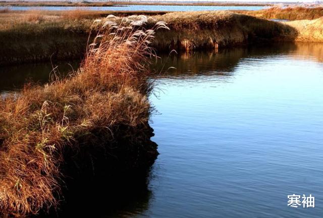 二氧化碳|非洲“杀人湖”：一夜离奇死亡2000人，抽干湖水后，专家发现玄机