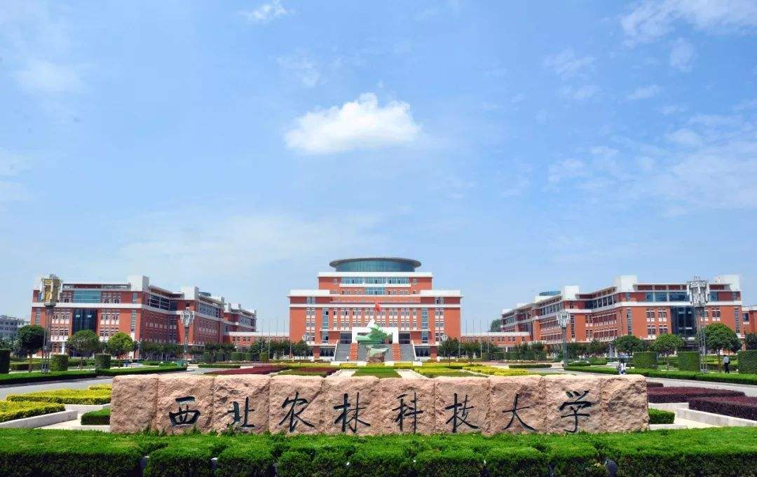 四线城市|高考成绩不理想？校友会三线、四线城市大学排行榜top100可以参考