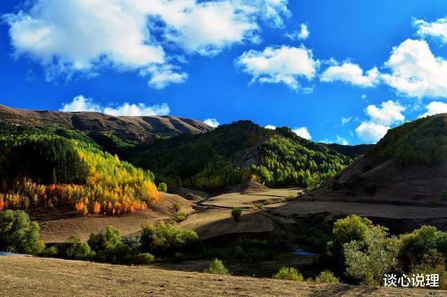 白羊座|11月,桃花漫天,喜鹊喳喳叫,3星座和好如初,余生执手相随