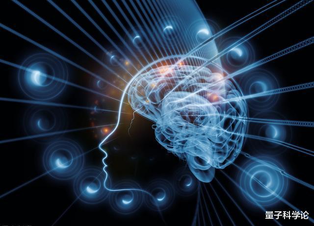 量子力学|一次普通的植物实验,得出颠覆认知的结果,让人怀疑宇宙