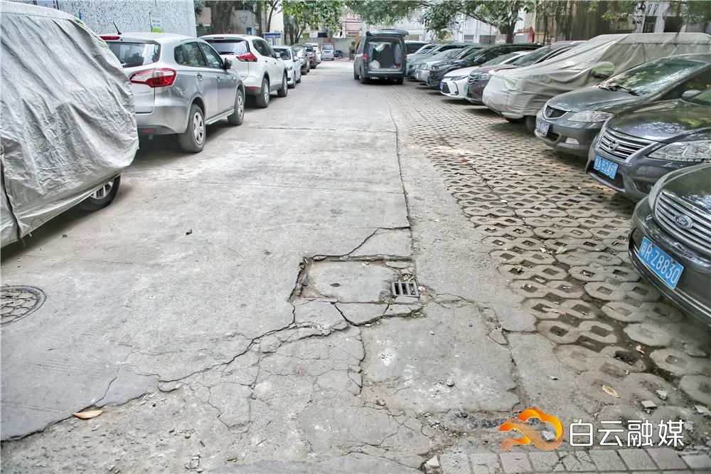 广州白云发布 26年老旧小区将变“年轻”，云城街白云花园启动微改造