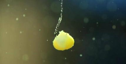 【】钓鱼时浮漂顿口不清晰碎口,很难抓住口,主要是因为这三个因素