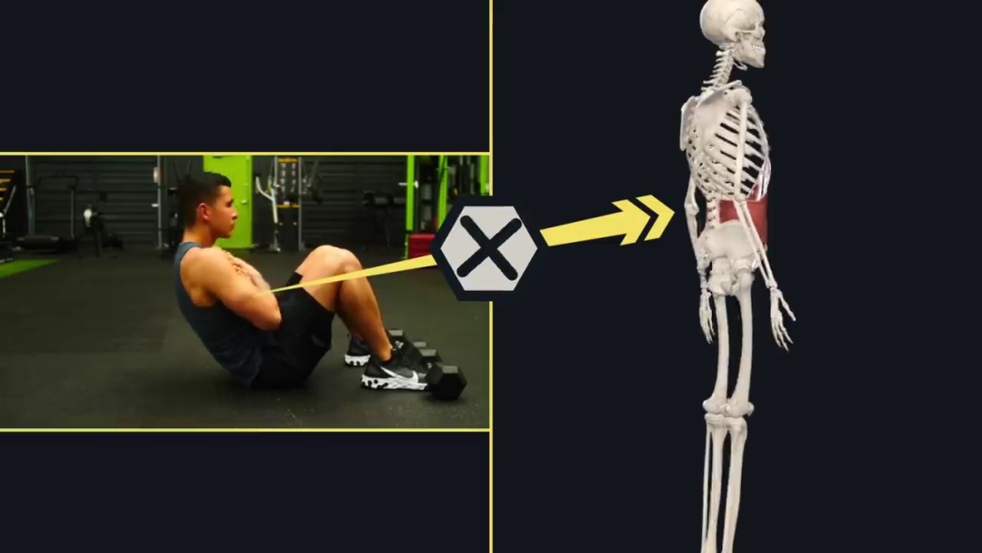 健身|每天多花1分钟练这个，你会来感谢我的