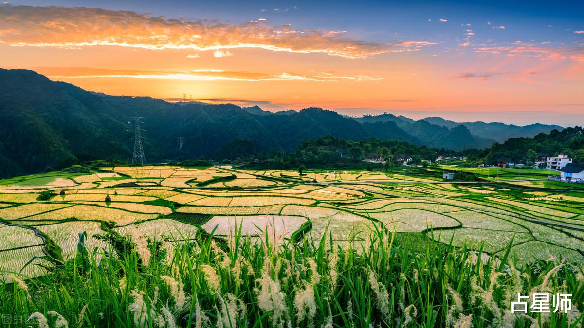 生肖|(周运)TIM_7月19日至25日星座运势:得高歌处且高歌