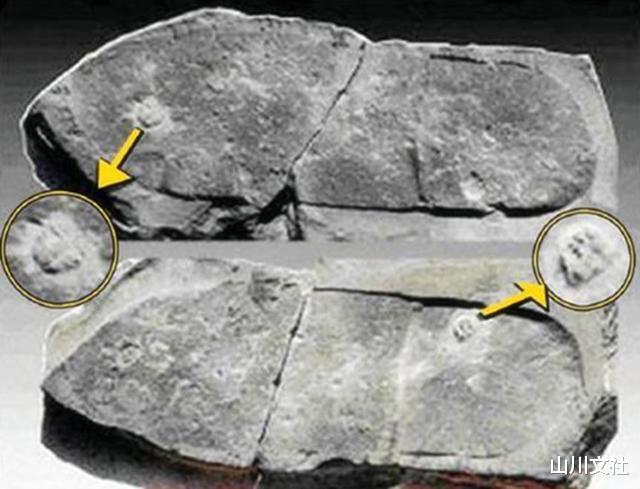 玛雅人|外国人比中国人会造假，甚至，连“史前文明”都不放过