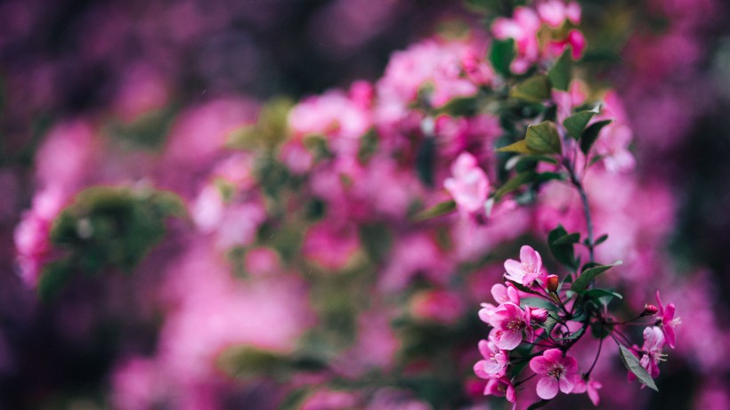 运势@5月下旬贵人上门，喜气临门，财运滚滚，行大运赚大钱的四属相