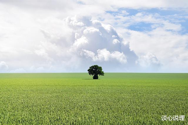 旧爱|10月,一生执念,一念之间,3星座情深难舍,与旧爱破镜重圆